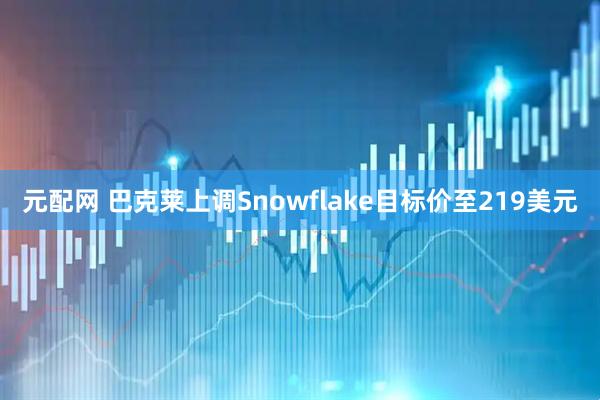 元配网 巴克莱上调Snowflake目标价至219美元